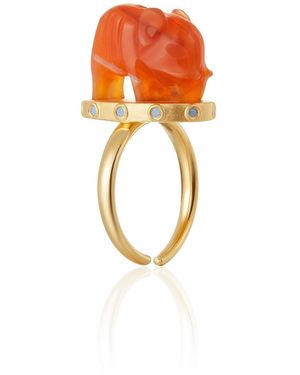 Wjy Studio London Handmade Engraved Elephant Agant Gemstones Ring - Orange