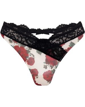 Wild Lovers Liora Brief - Black