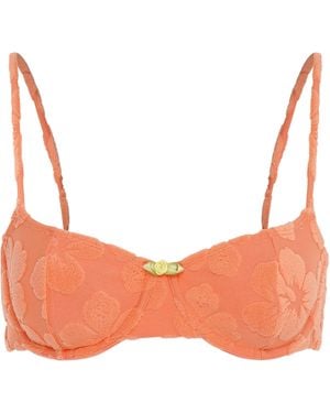 Wild Lovers Coral Kiss Bikini Top - Orange
