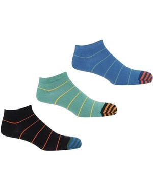 Peper Harow - Made in England Thin Stripe Trainer Socks – Bundle - Blue