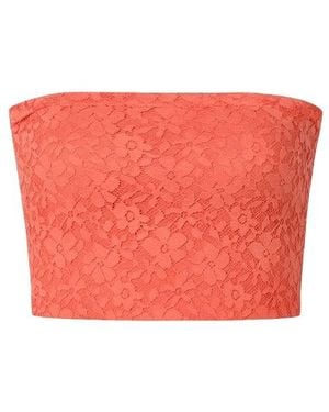 Conquista Lace Bandeau Apricot - Red