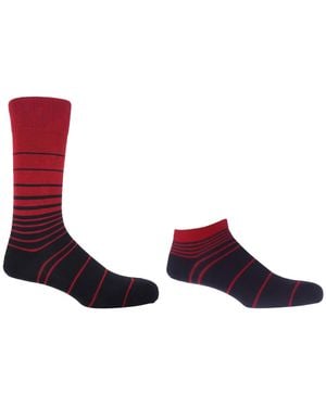 Peper Harow - Made in England Retro Stripe Burgundy Luxury Crew & Trainer Socks Bundle - Brown