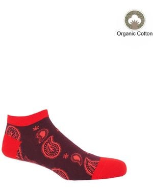 Peper Harow - Made in England Paisley Trainer Socks – Burgundy - Red