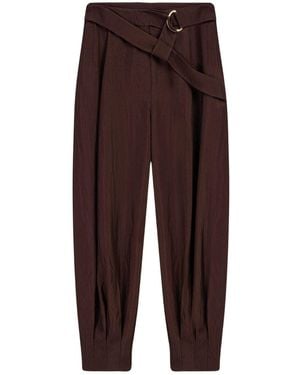 Nocturne Belted Harem Pants - Brown