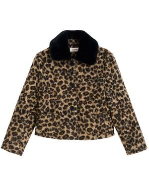 Louche Apple Animal Teddy Faux Fur Collar Jacket - Black