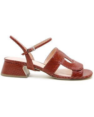Alterre Snake Amal Loop Sandal - Brown