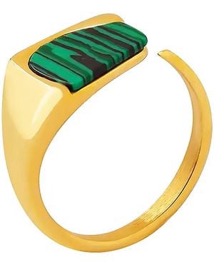 Shaded the Label Priscilla Malachite Crystal Ring - Metallic