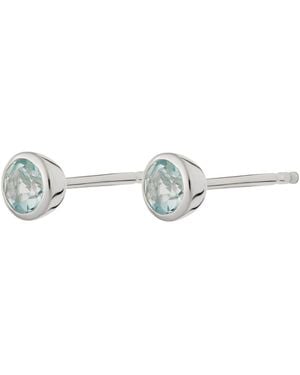 Lily Charmed December Birthstone Earrings - Metallic