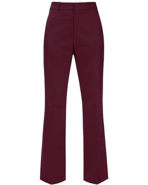 AGGI by HALEWSKI Camilla Burgundy Wine Flared Pants