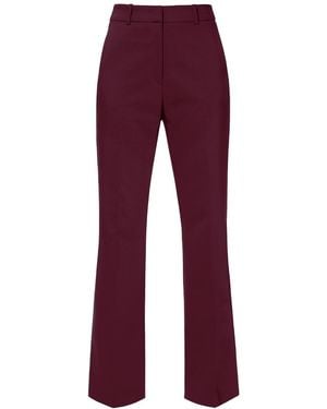 AGGI by HALEWSKI Camilla Burgundy Wine Flared Pants
