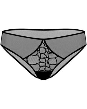 Zhilyova Alligator Brief - Grey