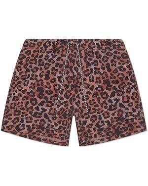 Playaluxe Tulum Volley Swim Trunk Leopard - Red