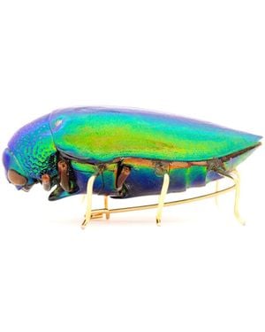 Oana Savu Beetle Insect Special Metallic Recycled Natural Scarab Brooch - Green