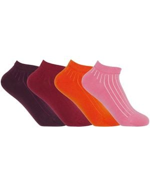 Peper Harow - Made in England Four Pack Essential Trainer Socks – Sunset - Red