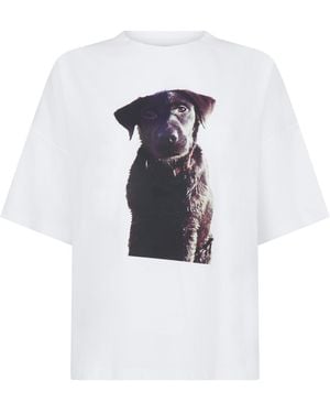 Sour Figs Labrador Puppy Print T-Shirt - White