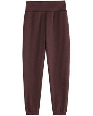Supesu Cubby Jogger - Purple