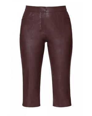 AGGI by HALEWSKI Capri Dakota Chocolate Below Short Pants - Brown
