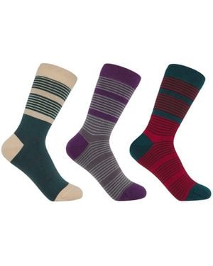 Peper Harow - Made in England Twin Stripe Socks Bundle - Blue