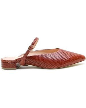 Alterre Snake Twiggy Point Slide - Brown