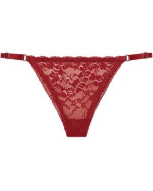 Vera Lumin Dahlia - Red