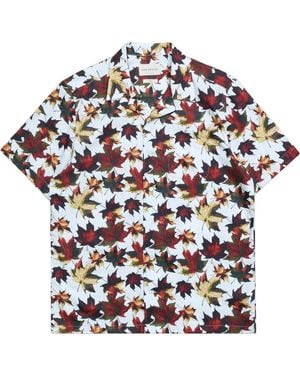 Far Afield Pop - Multicolour