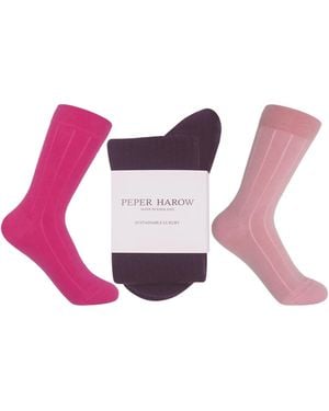 Peper Harow - Made in England Three Pairs Cashmere & Wool Boot Socks – Hot - Purple