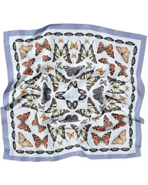 J6R6 Papillon Large Square Silk Butterfly Scarf - Blue