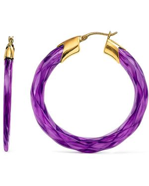 Gold & Honey Amethyst Swirl Twist Lucite Birthstone Hoop Earrings - Purple