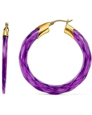 Gold & Honey Amethyst Swirl Twist Lucite Birthstone Hoop Earrings - Purple