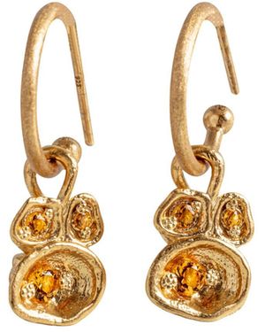 Claire Hill Designs Citrine Lichen Hoop Earrings - Metallic