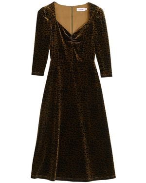 Louche Neutrals Ambrose Velvet Roar Midi Dress - Black