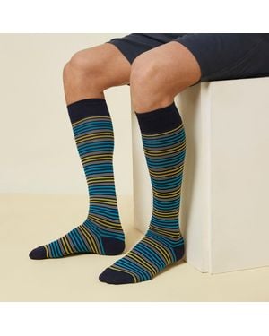Yamamay Calze lunghe a righe sottili - Golf Club - Blu
