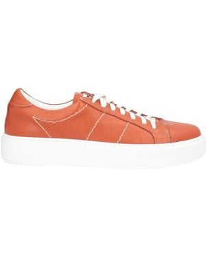 Cerruti 1881 Trainers - Pink