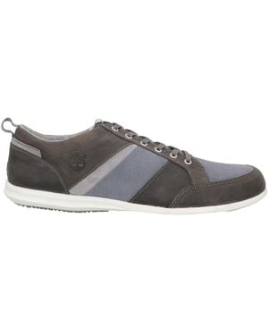 Timberland Sneakers - Gris