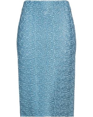 Ermanno Scervino Midi Skirt - Blue
