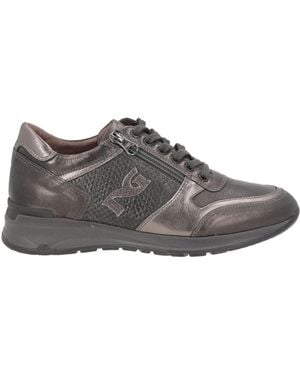 Nero Giardini Sneakers Leather - Gray