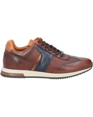 Ambitious Trainers Leather - Multicolour
