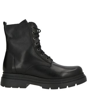Divine Follie Ankle Boots - Black