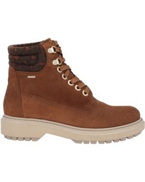 Geox Ankle Boots Leather - Brown