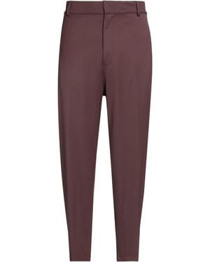 Grifoni Pantalone - Viola