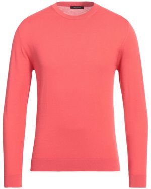 Bellwood Jumper Cotton - Pink