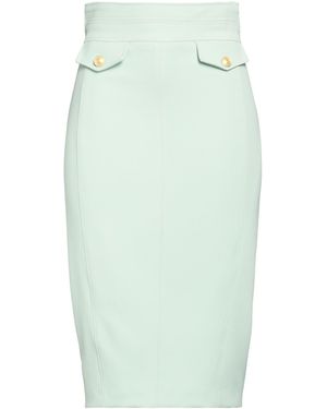Nenette Midi Skirt Polyester, Elastane - Green
