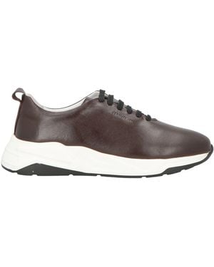 Cerruti 1881 Trainers Cow Leather - Brown