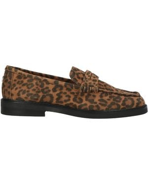 Steve Madden Loafer - Brown