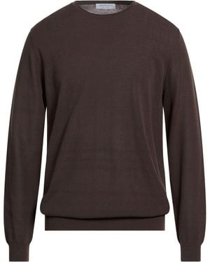 Jeordie's Jumpers - Brown