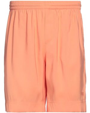 MSGM Shorts & Bermuda Shorts - Orange