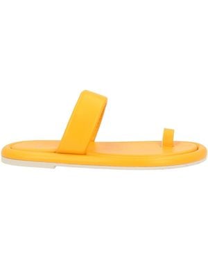 Barracuda Thong Sandals - Yellow