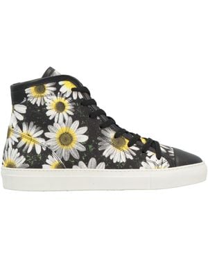 Scarpe studio pollini best sale
