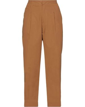 Alpha Studio Trouser - Brown