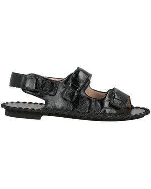 Alexander Hotto Sandals - Black